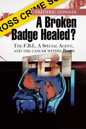 Cover of the book A Broken Badge Healed? by Cindylee Ginter