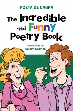Cover of the book The Incredible and Funny Poetry Book by David J. Hathaway