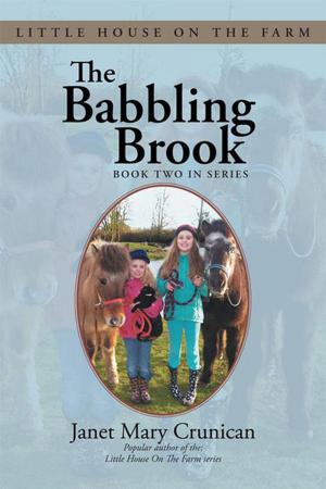 Cover of the book The Babbling Brook by George Kagawa