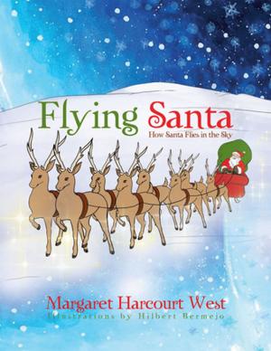 Cover of the book Flying Santa by Jim McPherson