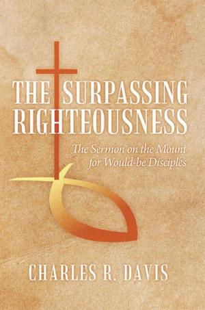 bigCover of the book The Surpassing Righteousness by 