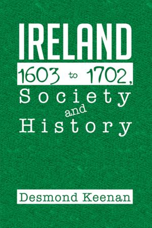 Book cover of Ireland 1603-1702, Society and History