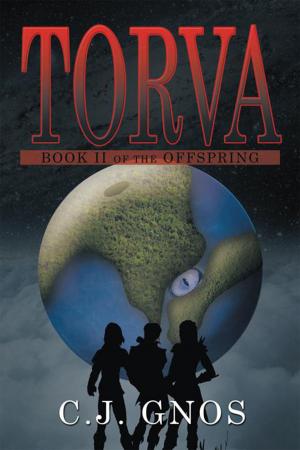 Cover of the book Torva by Lesley Fisher