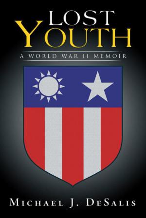 Book cover of Lost Youth