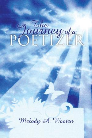 Cover of the book The Journey of a Poetizer by Anita Diggle