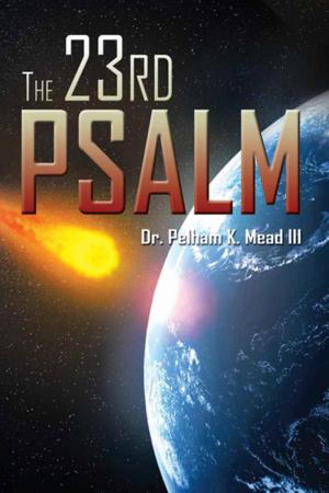 Cover of the book The 23Rd Psalm by P. Mesta