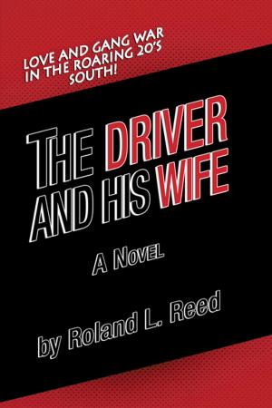 bigCover of the book The Driver and His Wife by 