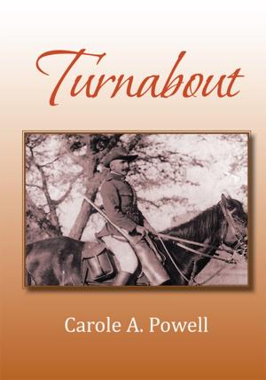 Cover of the book Turnabout by Ken Casey