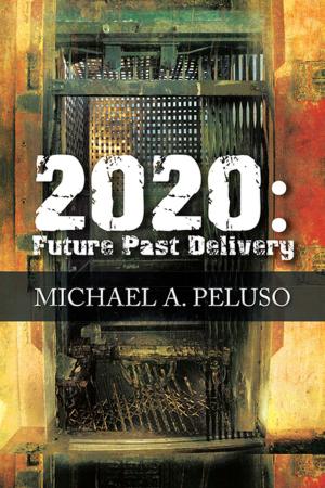 Cover of the book 2020: Future Past Delivery by Hakim Askia