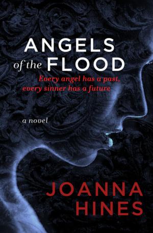 Cover of the book Angels of the Flood by Adharanand Finn