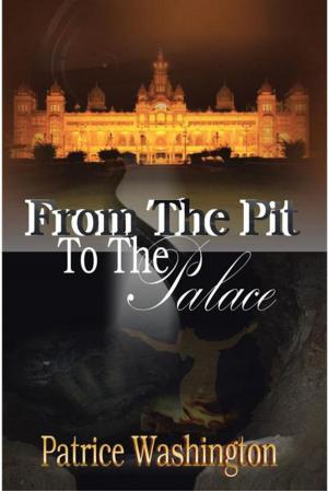 Cover of the book From the Pit to the Palace by Scott Volentine