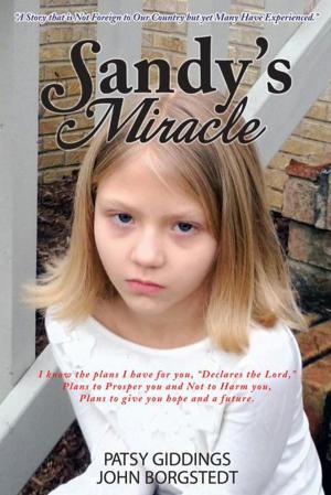 Cover of the book Sandy's Miracle by 道格．勒莫夫, 艾麗卡．伍爾維, 凱蒂．葉次