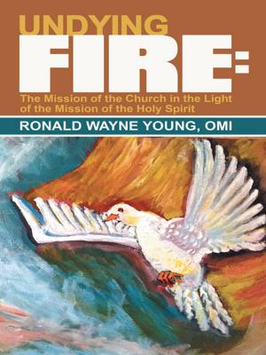 Cover of the book Undying Fire: by Patrick J. Roelle Sr.