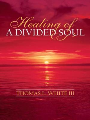 Cover of the book Healing of a Divided Soul by Terry Allen Sutherland