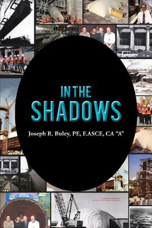 Cover of the book In the Shadows by Dorche Harris