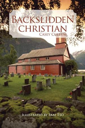 Cover of the book Backslidden Christian by Poetess Kelly Seltzer