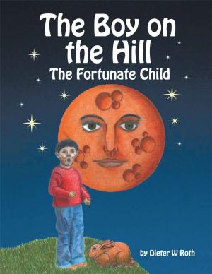 Cover of the book The Boy on the Hill by April R. Schreiber