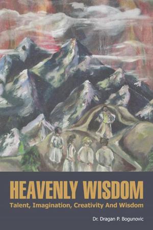 Cover of the book Heavenly Wisdom by Stephan Luccas