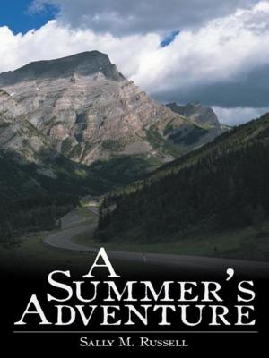Book cover of A Summer's Adventure