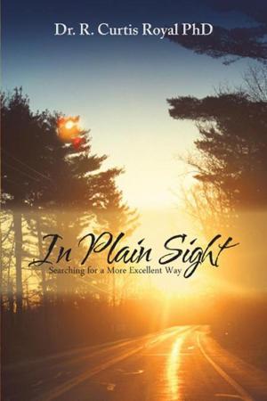Cover of the book In Plain Sight by Willie Speight