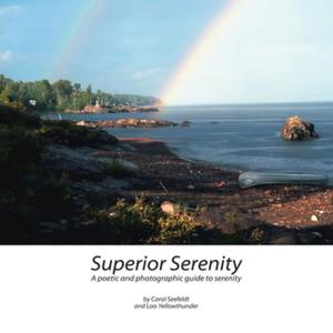 Cover of the book Superior Serenity by R. L. Phillips
