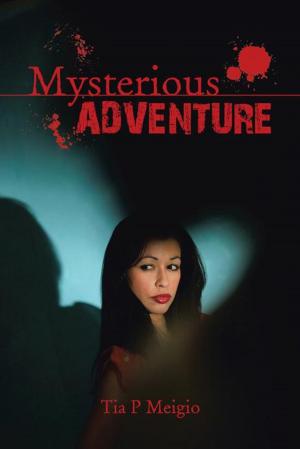 Cover of the book Mysterious Adventure by Mike Yurk