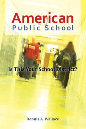 Cover of the book American Public School by Damien Michael Shindelman