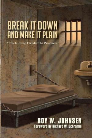 Cover of the book Break It Down and Make It Plain by Ronald Lee Weagley