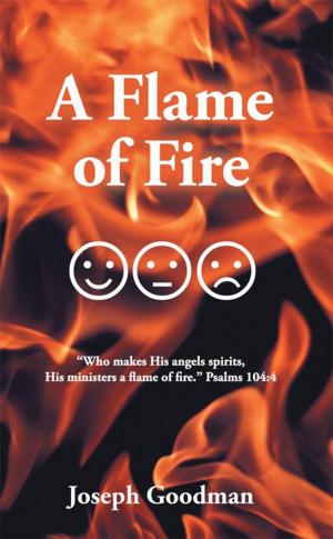 Cover of the book A Flame of Fire by Perry Kelly