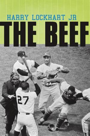 Cover of the book The Beef by Dr. Stephen Spyrison