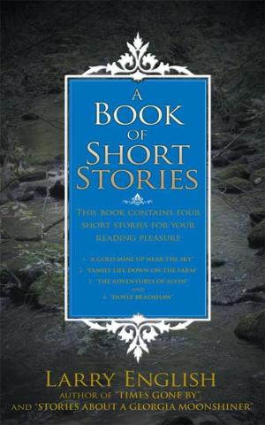 Cover of the book A Book of Short Stories by Paula D. Golden