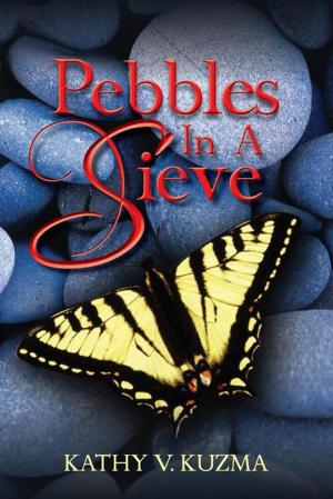 Cover of the book Pebbles in a Sieve by James R. Holbrook