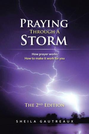 Cover of the book Praying Through a Storm by Tina Maria Johnson