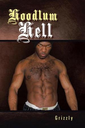 Cover of the book Hoodlum Hell by Zee Avery