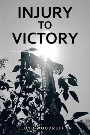 Cover of the book Injury to Victory by Todd Hveem