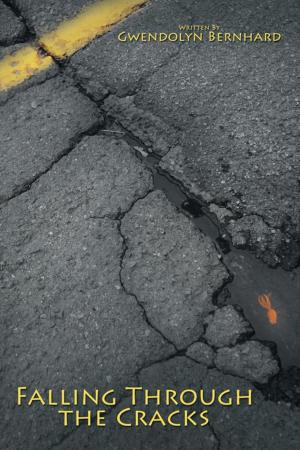 Cover of the book Falling Through the Cracks by Christopher W. King