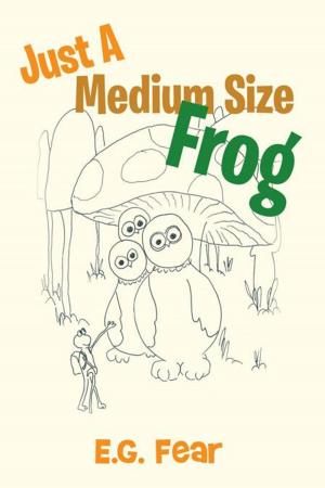 Cover of the book Just a Medium Size Frog by Kay Murray