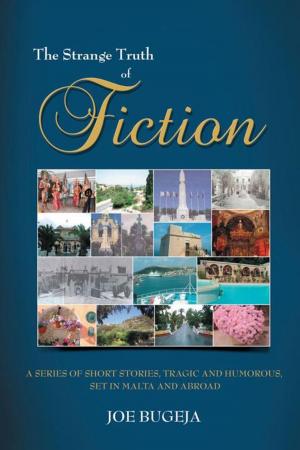 bigCover of the book The Strange Truth of Fiction by 