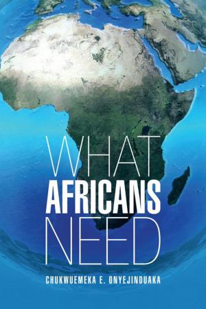 Cover of the book What Africans Need by Alan Lowe