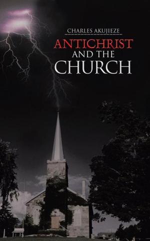 Cover of the book Antichrist and the Church by Ali Haji