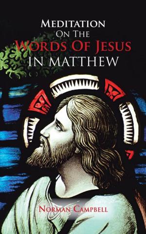 Cover of the book Meditation on the Words of Jesus in Matthew by Mark Aylwin Thomas
