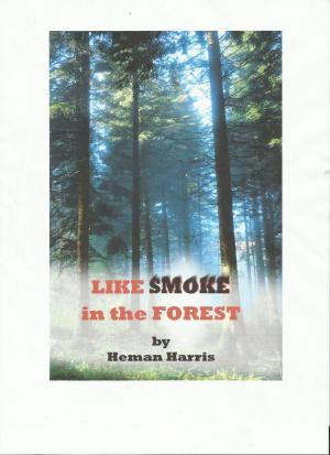 bigCover of the book Like Smoke in the Forest by 