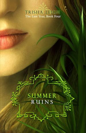 Book cover of Summer Ruins