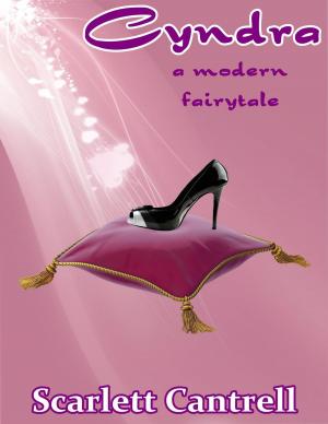 Cover of the book Cyndra: A Modern Fairytale (Lesbian Romance) by Michael J. Sahno
