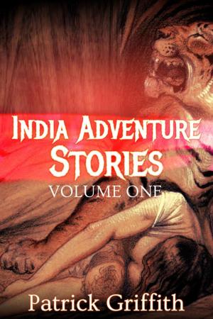 bigCover of the book INDIA ADVENTURE STORIES VOLUME ONE by 