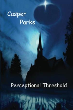 Cover of the book Perceptional Threshold: The Questioning by MG Hardie