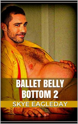 Cover of the book Ballet Belly Bottom 2 by Skye Eagleday