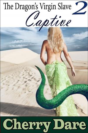 Cover of the book The Dragon’s Virgin Slave 2: Captive by Steve Mandel