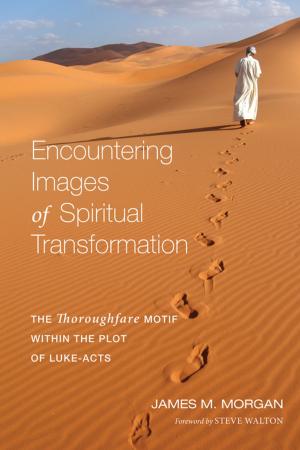 Cover of the book Encountering Images of Spiritual Transformation by John Hart