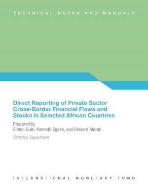 Book cover of Direct Reporting of Private Sector Cross-Border Financial Flows and Stocks in Selected African Countries